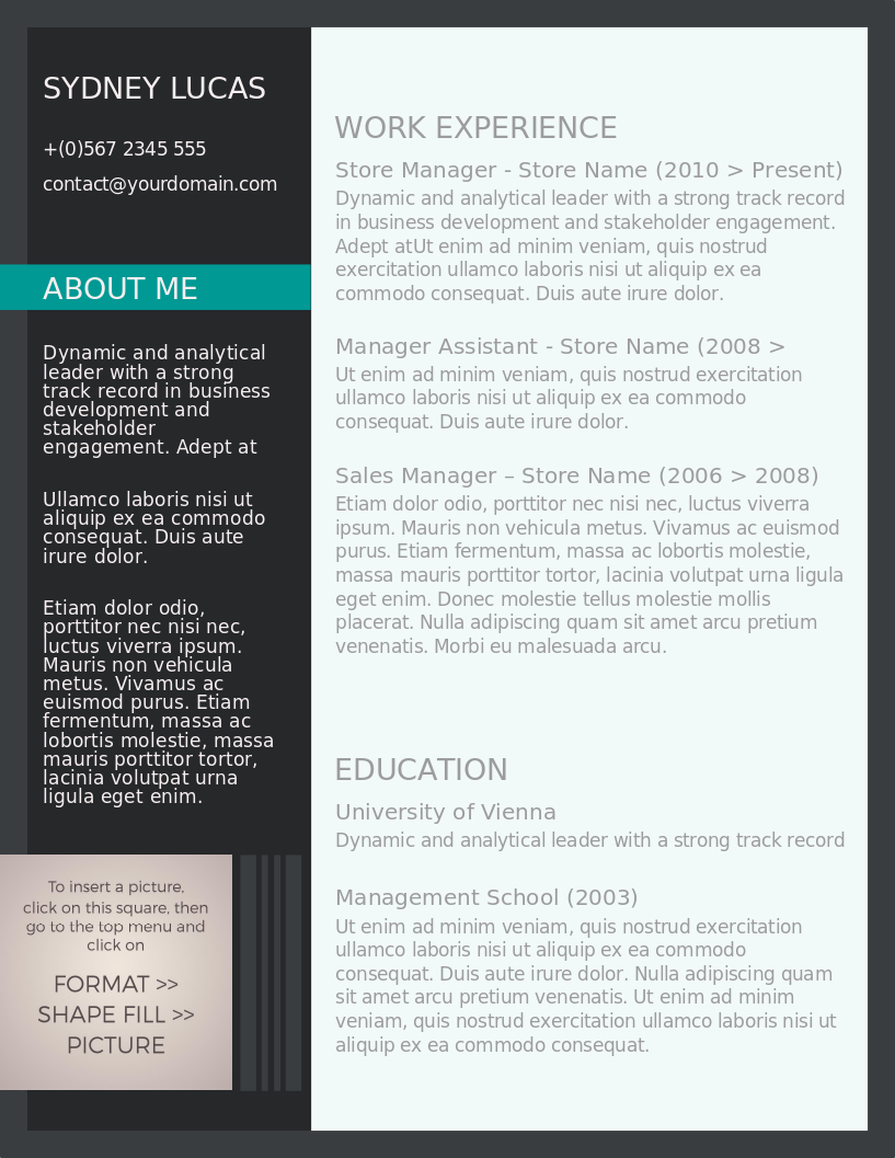 Modish and Smart CV preview